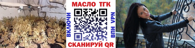 Купить  Подпорожье  ТГК концентрат 