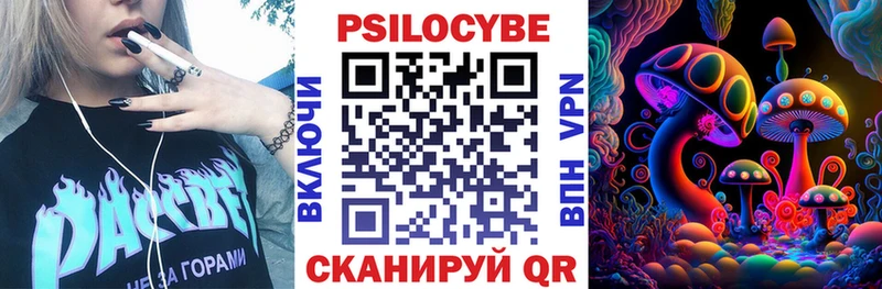 Купить  Подпорожье  Галлюциногенные грибы Psilocybe 